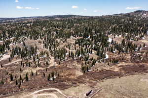 View of property location featuring a heavily wooded area