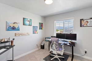 Office with light carpet, baseboards, and a textured ceiling