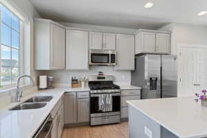 Kitchen with appliances with stainless steel finishes, a sink, recessed lighting, gray cabinetry, and light wood-type flooring