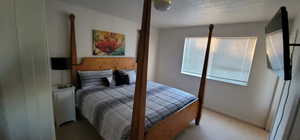 Main unit-Primary Bedroom featuring carpet