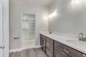 Bathroom with wood finished floors, a walk in closet, double vanity, and baseboards