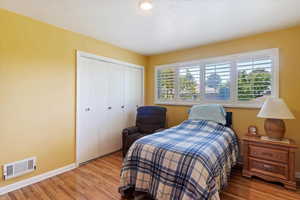 Bedroom with a closet, light wood-type flooring, lots of natural light
