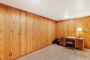 Basement room featuring LVP floors and wooden walls
