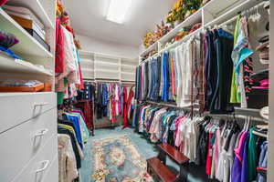Spacious closet featuring carpet