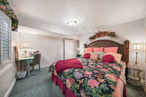 Bedroom featuring carpet flooring, crown molding, and multiple windows