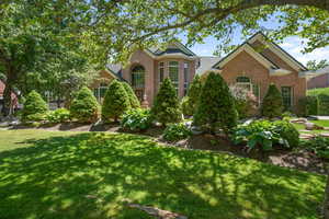 Traditional-style house with a front yard and brick siding