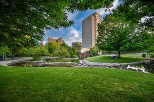 View of community with a lawn