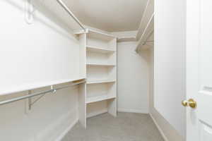 Spacious closet with light carpet