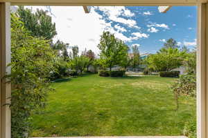 View of landscaped lawn with fruit trees and gardens and shed