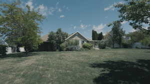 View of backyard