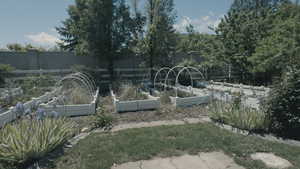 View of yard featuring  vegetable gardens