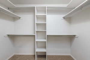 Walk in closet featuring carpet floors