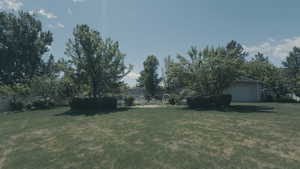 View of green lawn