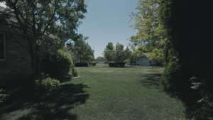 View of professionally landscaped yard