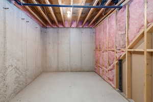 View of unfinished basement