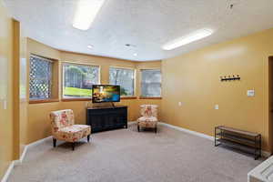 ADU Family Room