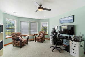 Home office with carpet, views, and ceiling fan