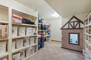 Shelving and back side of play area