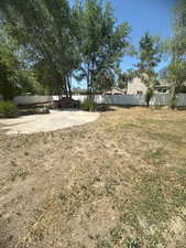 View of yard with a patio area