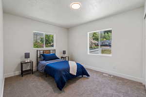Carpeted bedroom with a textured ceiling, multiple windows, and baseboards