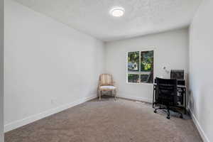 Home office featuring a textured ceiling, carpet, and baseboards