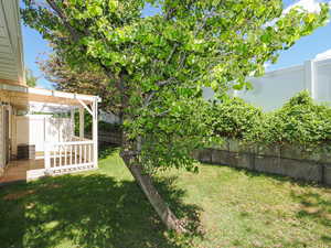 View of yard with a patio