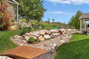 View of grassy yard