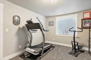 Exercise area featuring a textured ceiling, baseboards, and carpet