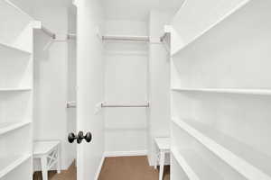 Spacious closet featuring carpet floors