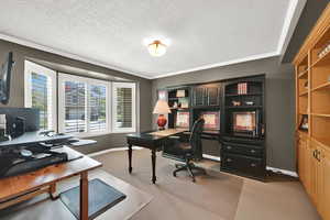 Main-level Den with tons of Natural light.