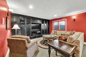 Downstairs Family/Entertainment room with cabinetry and tons of space gather, play or watch TV.