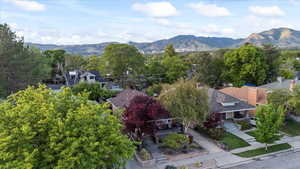 View of mountain background