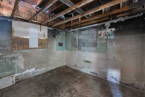 View of unfinished basement