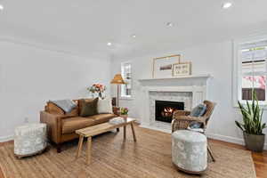 Living room featuring wood finished floors, a high end fireplace, and recessed lighting
