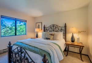 Bedroom featuring carpet floors, a baseboard radiator, and baseboards