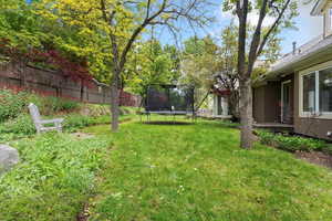 View of yard with a trampoline