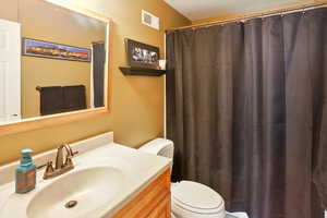 Full bathroom featuring toilet, vanity, and a shower with curtain