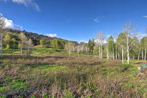 View of mountain backdrop