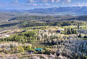 Bird's eye view of mountains and a forest