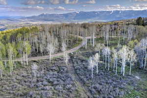 View of mountain background