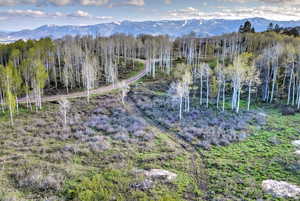 View of mountain backdrop with a heavily wooded area