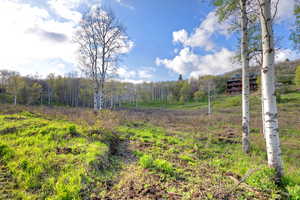View of yard featuring a wooded view