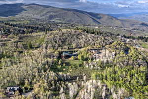 Mountain view featuring a forest