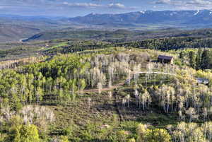 Drone / aerial view of a forest and mountains