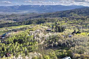 Aerial overview of property's location with a forest and a mountain backdrop