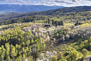 Drone / aerial view of a forest and mountains