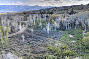 View of mountain backdrop featuring a forest
