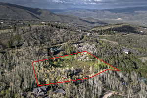 Aerial view of property's location with property parcel outlined and mountains