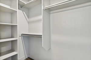 Spacious closet with dark wood-type flooring