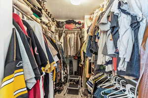 Walk in closet with carpet
